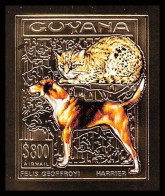 86158d/ Guyana Mi N°374 B Chiens Et Chats Cats And Dogs Harrier Persian OR Gold ** MNH 1993 Non Dentelé Imperf - Honden