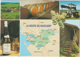 LD61 : Loire Atlantique : La Rte Du Muscadet , Nantes,bourgneuf, La Rochelle,angers,clisson, Vin... - Autres & Non Classés
