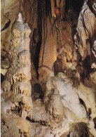 46, Grottes De Presque, La Salle Des Draperies Et La Vierge Noire - Autres & Non Classés