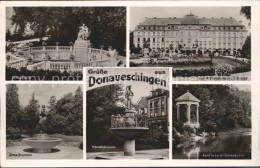 71933345 Donaueschingen Donauquelle Schloss Fuerstenberg Irma Brunnen Haenselebr - Donaueschingen