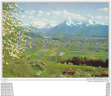Cpsm  Réf-JP-Q-641  ( Suisse   THOUNE )   Panorama    "  Blumlisalp .Niesen - Thoune / Thun