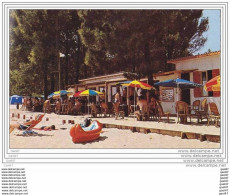 Cpsm Réf-JP-Y1053 (  Dép-40 )   BISCARROSSE Camping MAGUIDE     Le Bar - - Biscarrosse