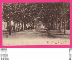 CPA (Ref: Z 1279) BUZET-SUR-TARN (31 HAUTE GARONNE) Promenade - Sonstige & Ohne Zuordnung