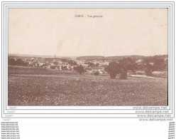 Cpa Réf-JP-Y558 ( Dép-54 à CIREY-sur-VEZOUZE )  PANORAMA - Cirey Sur Vezouze