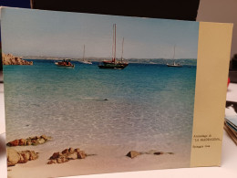 Cartolina Arcipelago Della Maddalena Provincia Sassari, Spiaggia Rosa - Sassari