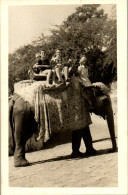 CP Carte Photo D'époque Photographie Vintage Groupe éléphant - Koppels