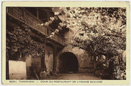 68 - B31481CPA - TURCKHEIM - Cour Du Restaurant De Homme Sauvage - Très Bon état - HAUT-RHIN - Turckheim