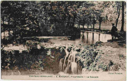 33 - B31367CPA - TRESSES - Chateau  SENAILHAC, E. Margnat - La Cascade - Très Bon état - GIRONDE - Autres & Non Classés