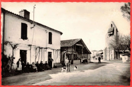 33 - B29718CPSM - LUCMAU - L'entrée Du Bourg - Très Bon état - GIRONDE - Sonstige & Ohne Zuordnung