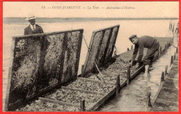 33 - T29601CPA - LA TESTE - Ambulance D'Huitres - Très Bon état - GIRONDE - Autres & Non Classés