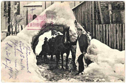 - T23930CPA - OBERSTAUFEN - Allemagne - 1 Mai 1907, Attelage En Gros Plan - Très Bon état - EUROPE - Oberstaufen