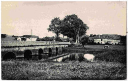 70 - B32266CPSM - DAMPIERRE SUR SALON - Entree Du Village, Route De Gray - Très Bon état - HAUTE-SAONE - Andere & Zonder Classificatie