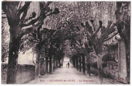 71 - B32217CPA - SALORNAY SUR GUYE - La Promenade - Parfait état - SAONE-ET-LOIRE - Autres & Non Classés