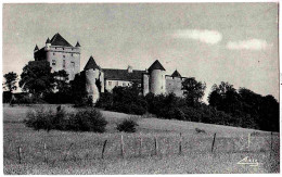 38 - B31977CPSM - LAVIGNY - Chateau Du Pin - Très Bon état - ISERE - Altri & Non Classificati
