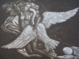 Exlibris Erotic Nude Bookplate Etching Leda And Swan For Lars Stolt - Bookplates