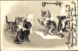 Lithographie Vermenschlichte Katzen, Buch, Papierhut - Other & Unclassified