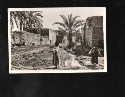 Aux Vieux Biskra , Enfants Chèvres - Biskra