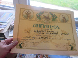 Bitola Bitolj Diploma Polozeni Lovacki Ispit 1963 Old Diploma For Hunting 38x29 Cm - Historical Documents