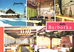 MULTIPLE VIEWS, ARCHITECTURE, JESENIK, BARBORKA RESTAURANT, CZECH REPUBLIC, POSTCARD - Tchéquie