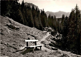 Hotel-Kurhaus Schwefelberg-Bad - Spazierweg Zur Quelle (1985) * 11. 8. 1959 - Riggisberg 