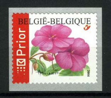 R109 - Bloemen - Buzin (3347) - Impatiens - Vlijtig Liesje - 2004 - Rouleaux
