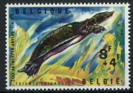 1348 - Zoo Van Antwerpen - Schildpad - Uit BL39 - Unused Stamps