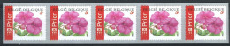 R110 - Bloemen - Buzin - Impatiens - (3347) - Vlijtig Liesje - 2004  - Rouleaux