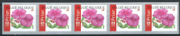 R110 - Bloemen - Buzin - Impatiens - (3347) - Vlijtig Liesje - 2004  - Coil Stamps