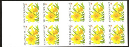 B39 - Bloemen - Fleurs - Trompetnarcis - (3046) - André Buzin - 2001 - 1997-… Permanente Geldigheid [B]