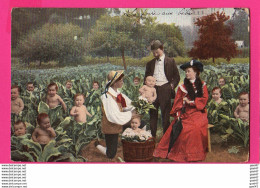 CPA (Réf: Z 3212) (FANTAISIE BÉBÉS PHOTOMONTAGE) Bébés Nus Dans Un Jardin De Choux - Bébés