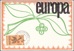 Europa CEPT 1965 Chypre - Cyprus - Zypern CM Y&T N°250 - Michel N°MK258 - 5m EUROPA - 1965