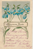 Fiori ,   I Bucaneve Azzurri   -  Stampa In Rilievo - Blumen