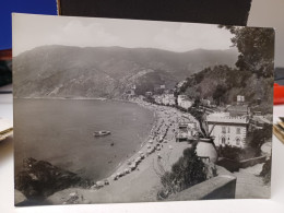 Cartolina Monterosso Cinque Terre Prov La Spezia Pensione Cigolini - La Spezia