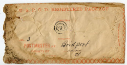United States 1883 U.S.P.O.D. Registered Package Cover; Mittineague, Massachusetts To Bridport, Vermont - Briefe U. Dokumente