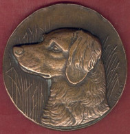 ** MEDAILLE  De  CHASSE  -  CHIEN - PERDRIX  1976 ** - Other & Unclassified