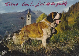 AK 214531 DOG / HUND - Chien St-Bernard - Dogs