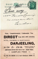 GB 1902, Darjeeeling, Kyel Tea Company Stationery Card Used In London  - Alimentazione