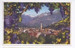 Italien, Meran Im Wein Rahmen, Südtirol Alto Adige Farb AK. #467 - Sonstige & Ohne Zuordnung