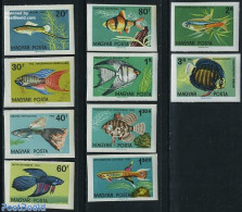Hungary 1962 Fish 10v Imperforated, Mint NH, Nature - Fish - Unused Stamps
