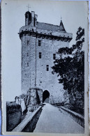 CPSM (Indre Et Loire). CHINON, Le Château, L'entrée - Chinon