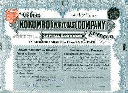 The KOKUMBO (Ivory Coast) COMPANY, Limited - Bergbau