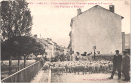 FR66 BOURG MADAME - Sauquet - Visite Sanitaire D'un Troupeau Passant La Frontière - Douane - Animée - Belle - Other & Unclassified