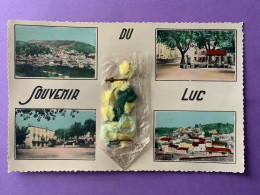 83    CPSM Petit Format   Souvenir Du LUC   Bouquet Tricoté……         Très Bon état - Le Luc
