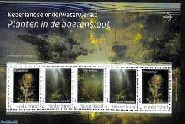 Netherlands - Personal Stamps TNT/PNL 2023 Underwaterworld 5v M/s, Mint NH, Nature - Flowers & Plants - Other & Unclassified