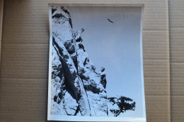 Original Photo Press 20x25cm 1961 John Hunt Climbing In Cyprus Alpinisme Mountaineering Escalade - Sport