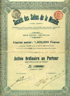 Société Des SALINS De La MOSELLE - Bergbau