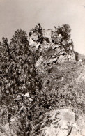 ARGES : CETATEA POENARI - CARTE VRAIE PHOTO / REAL PHOTO POSTCARD : FOTO : I. PETCU ~ 1960 - '965 (an843) - Romania