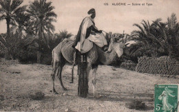 CPA - ALGÉRIE - Scène Et Type (Chamelier) - Edition Idéale PS - Scenes