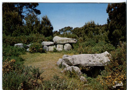 Cp A Saisir 22 Dolmens Dans La Lande Bretonne Carte Ecrite De Merdrignac Editeur Jack A Louannec - Sonstige & Ohne Zuordnung