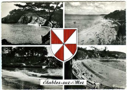 Cp A Saisir 22 Etables Sur Mer Blason 1955 Plage Du Moulin Plage Des Godelins Multivues - Etables-sur-Mer